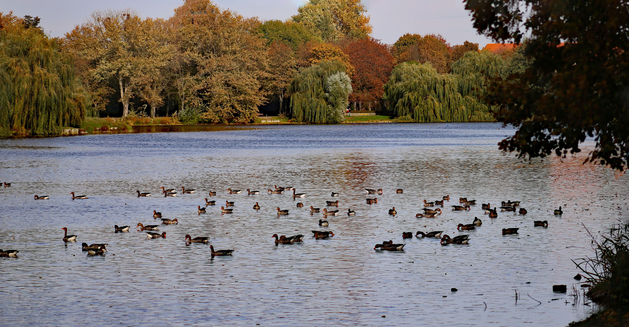 Herbst am See