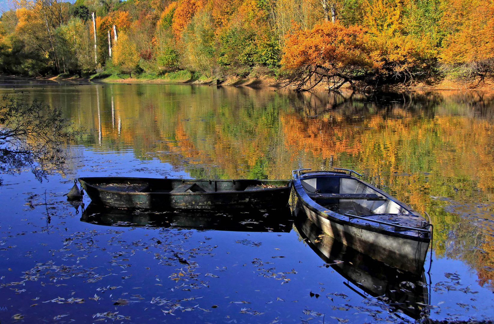 Herbst am See