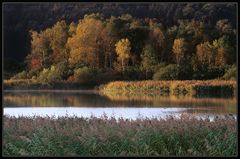 Herbst am See