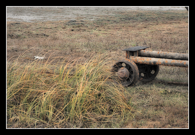 Herbst am See