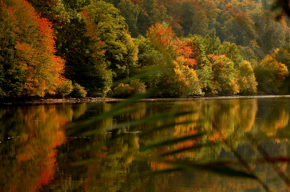 Herbst am See