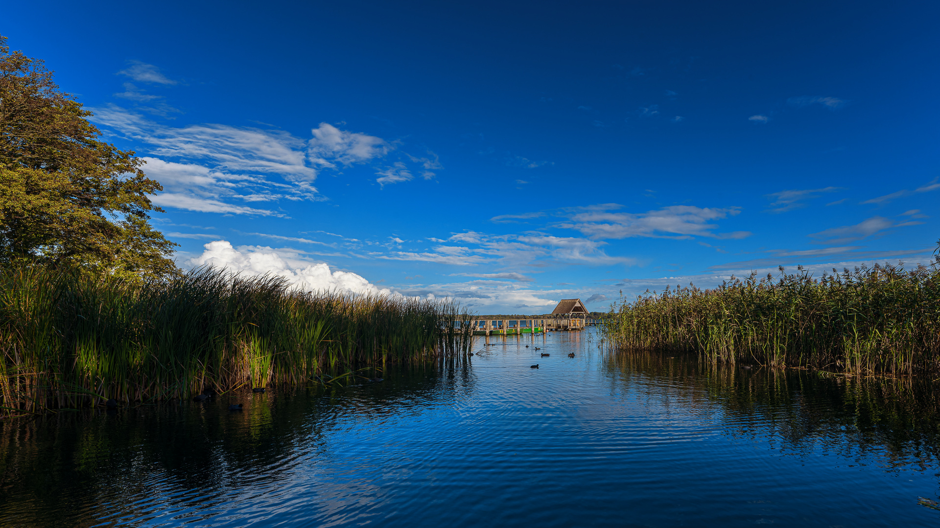 Herbst am See