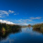 Herbst am See