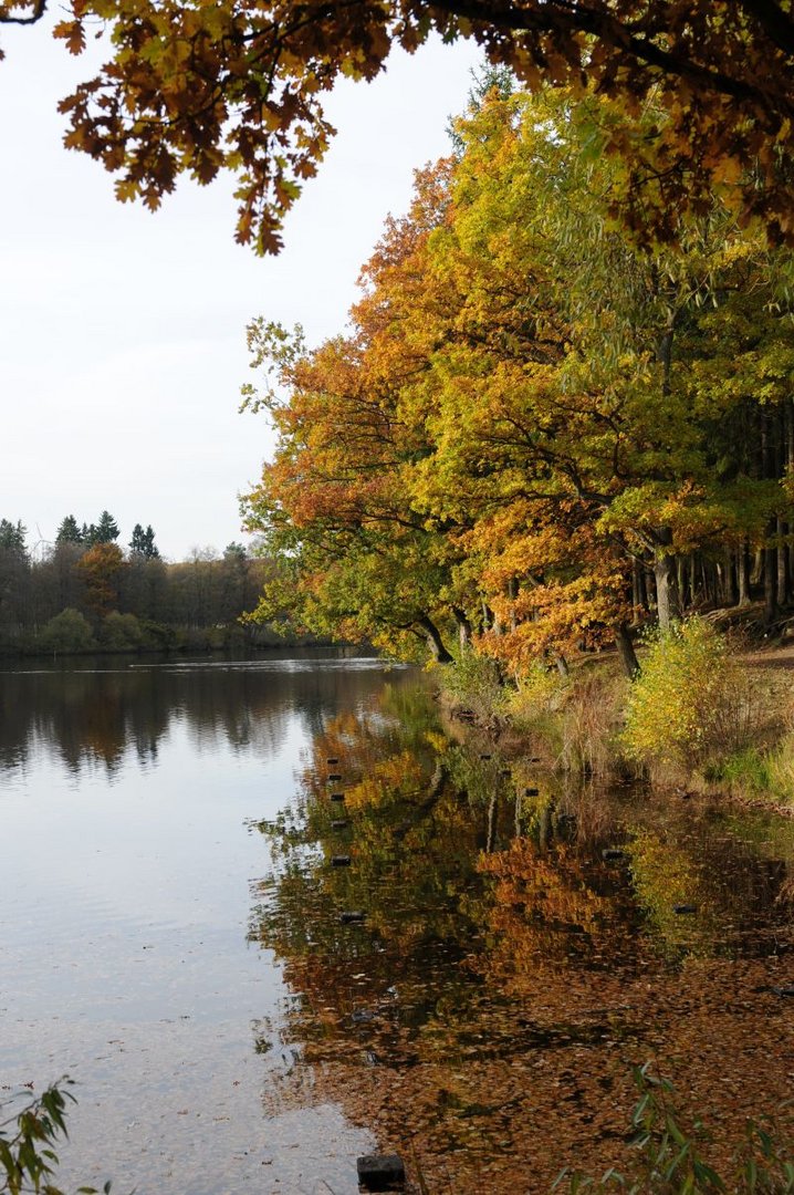 Herbst am See