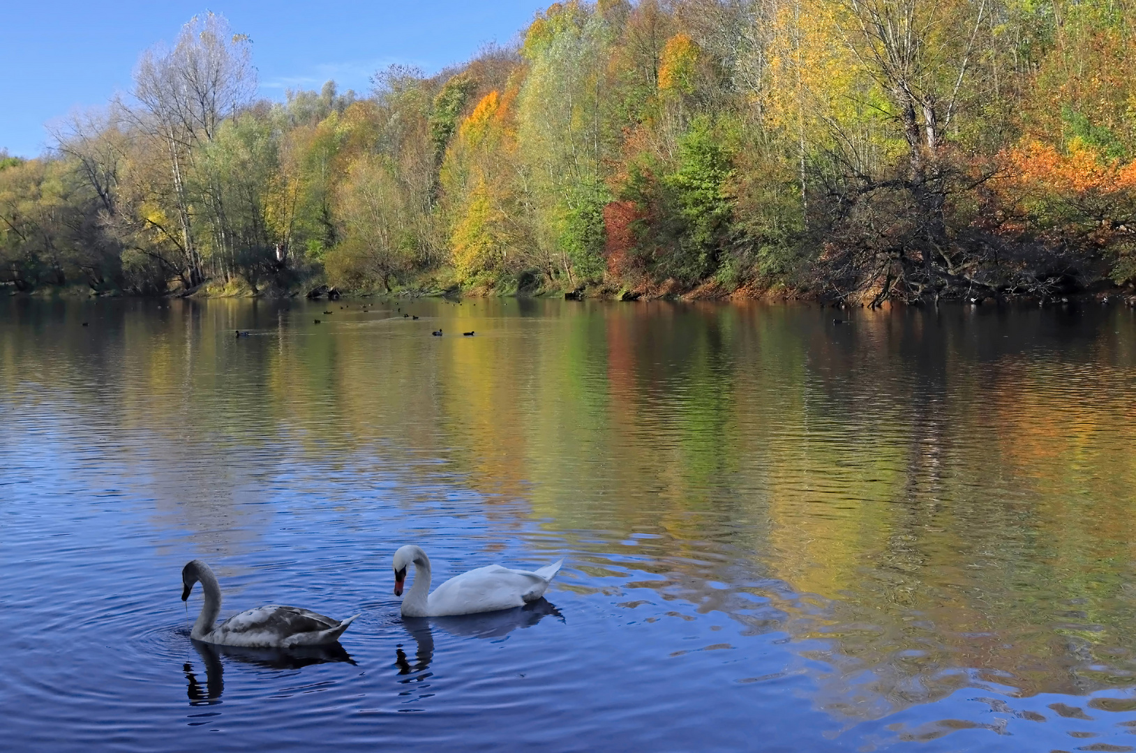 Herbst am See