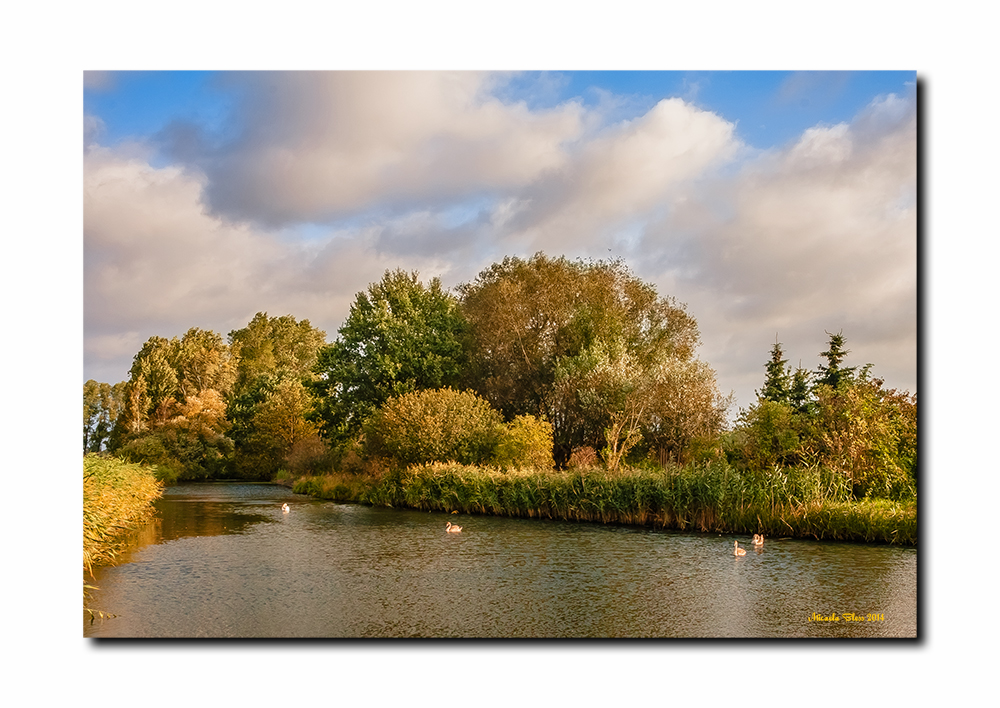 Herbst am See