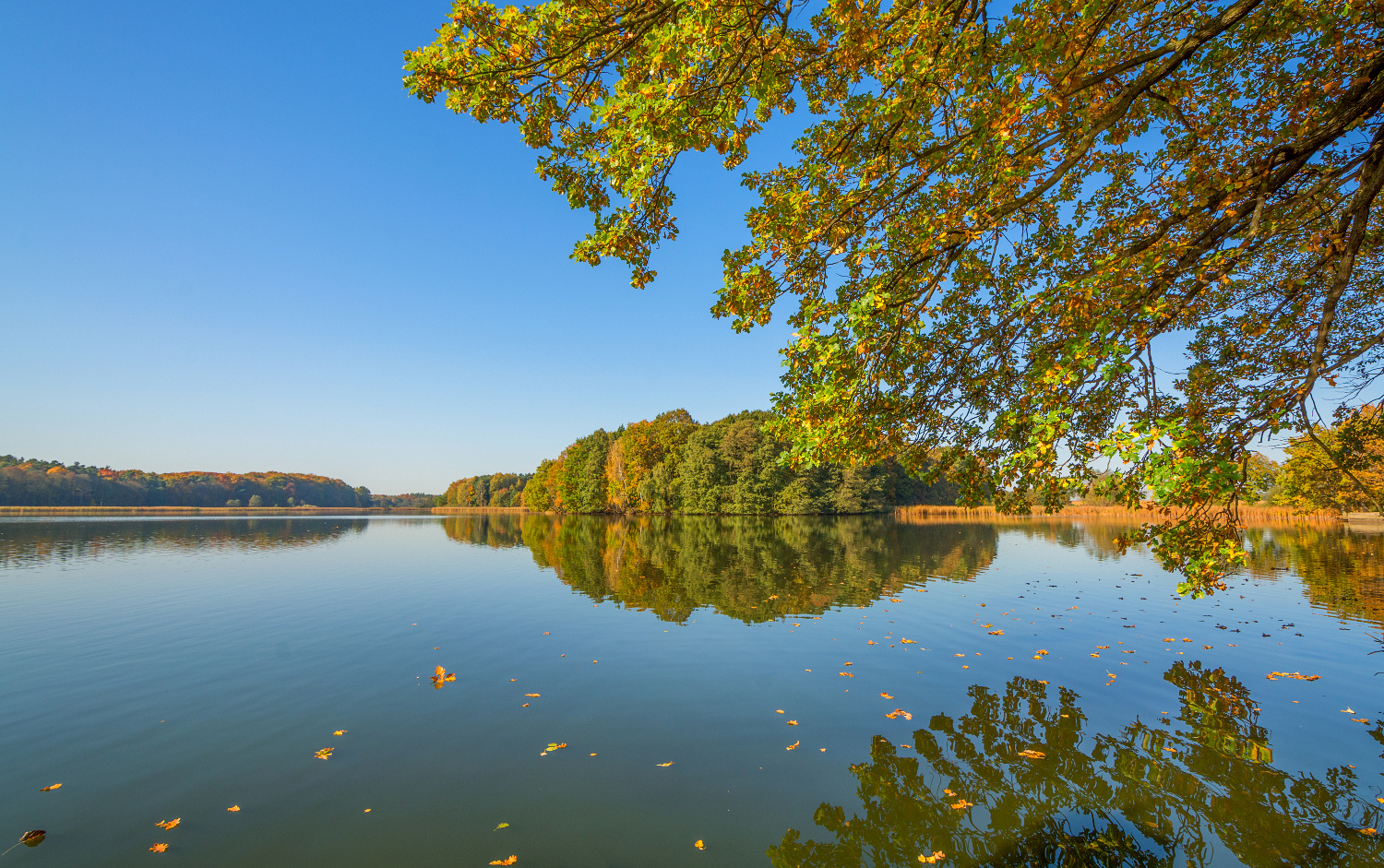 Herbst am See