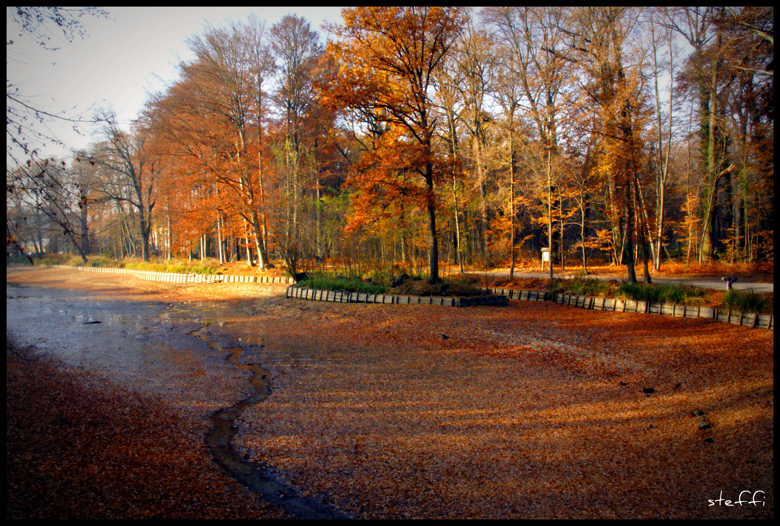 Herbst am See