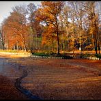 Herbst am See