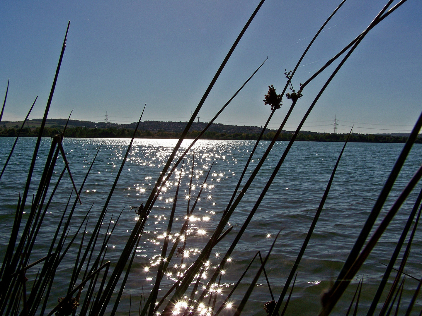 Herbst am See