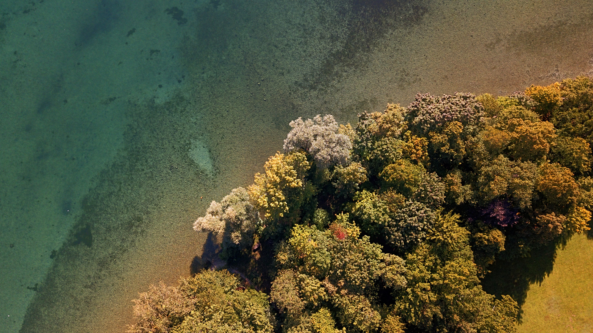 Herbst am See