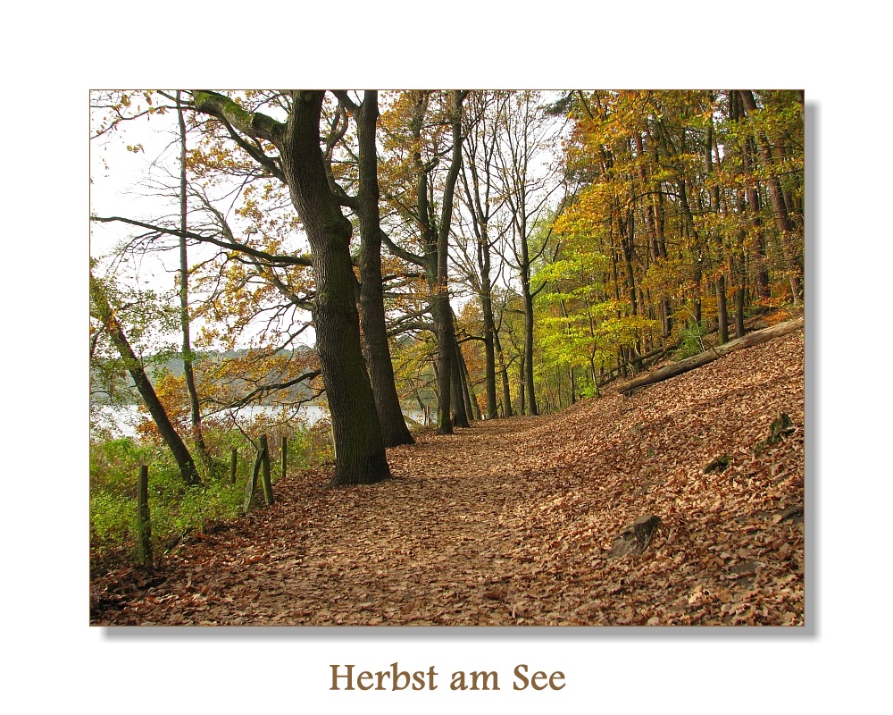 Herbst am See