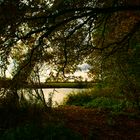 Herbst am See