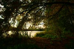 Herbst am See