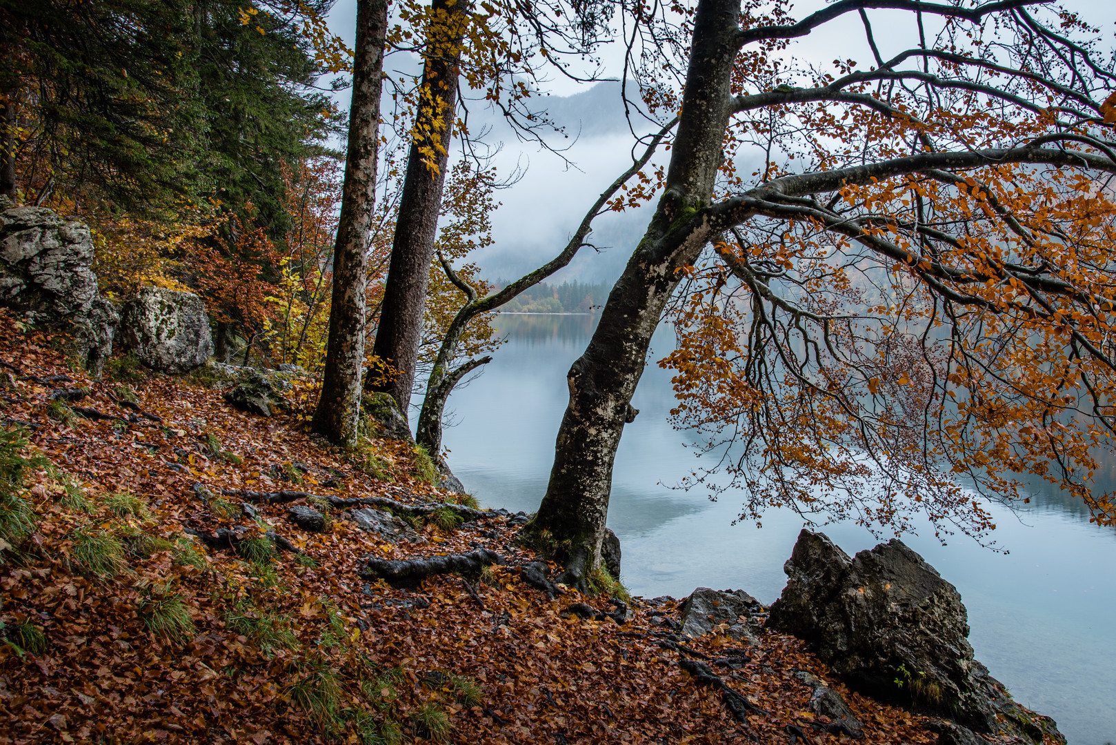 Herbst am See