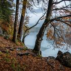 Herbst am See