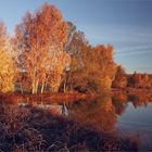 Herbst am See