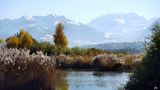 Herbst am See, das Schilf trägt silberne Spitzen de Juan 