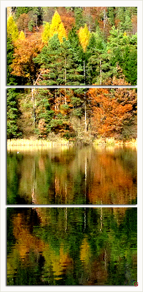 Herbst am See