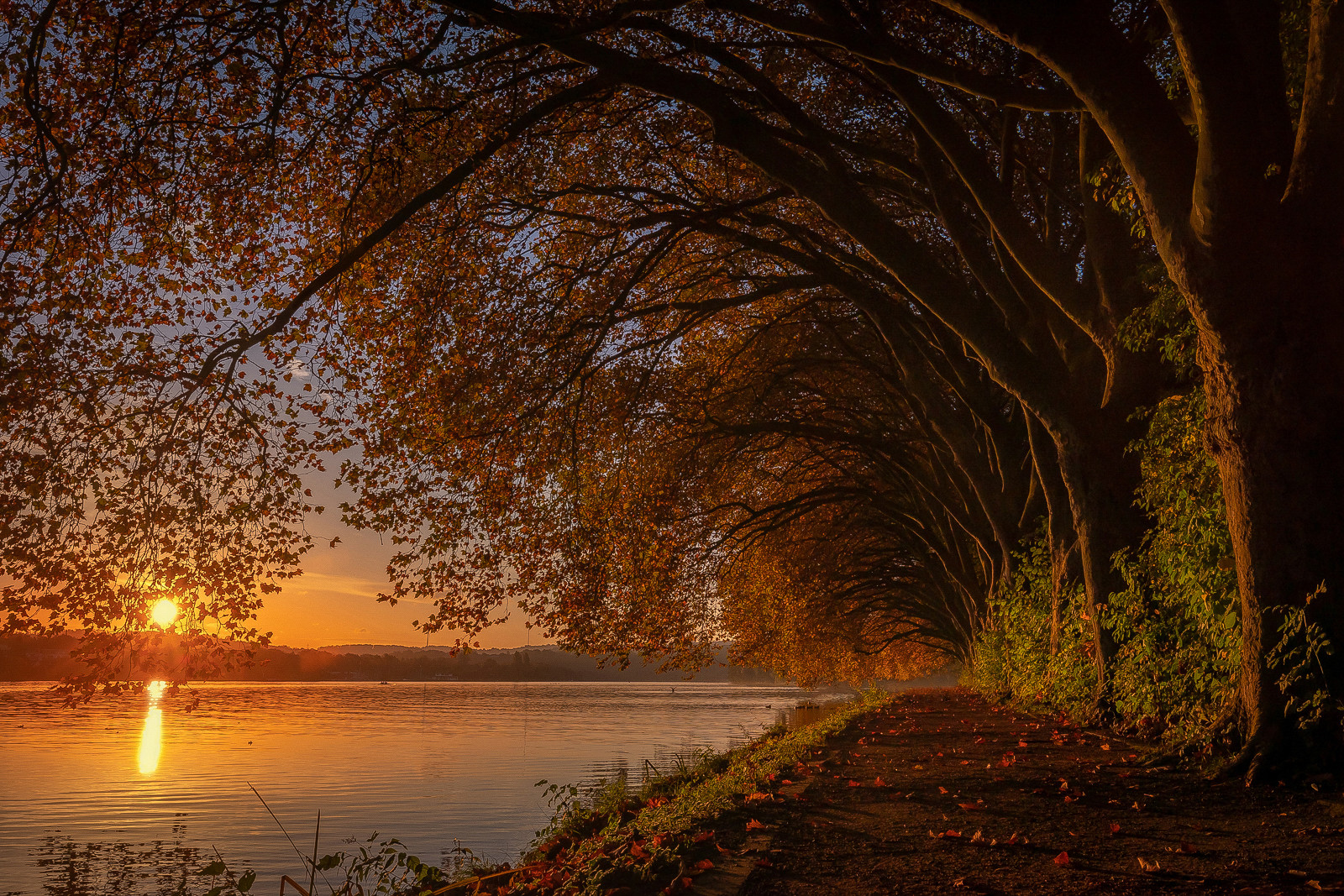 Herbst am See