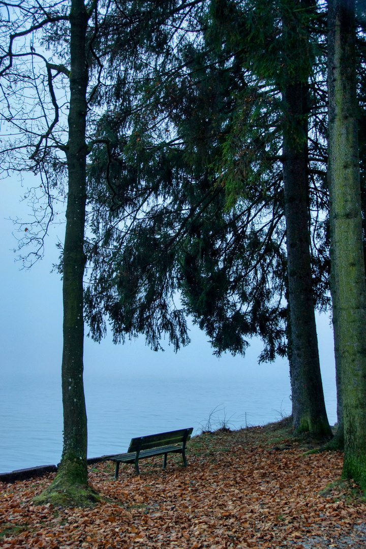 Herbst am See