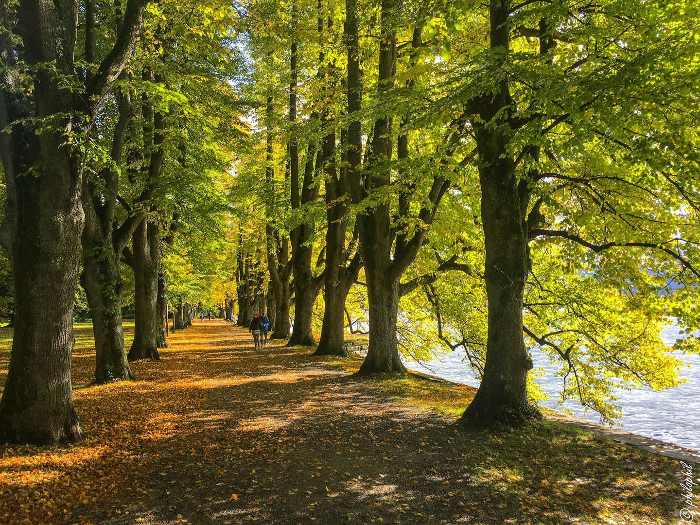 Herbst am See