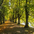 Herbst am See