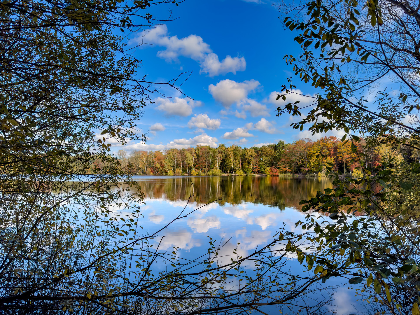 Herbst am See