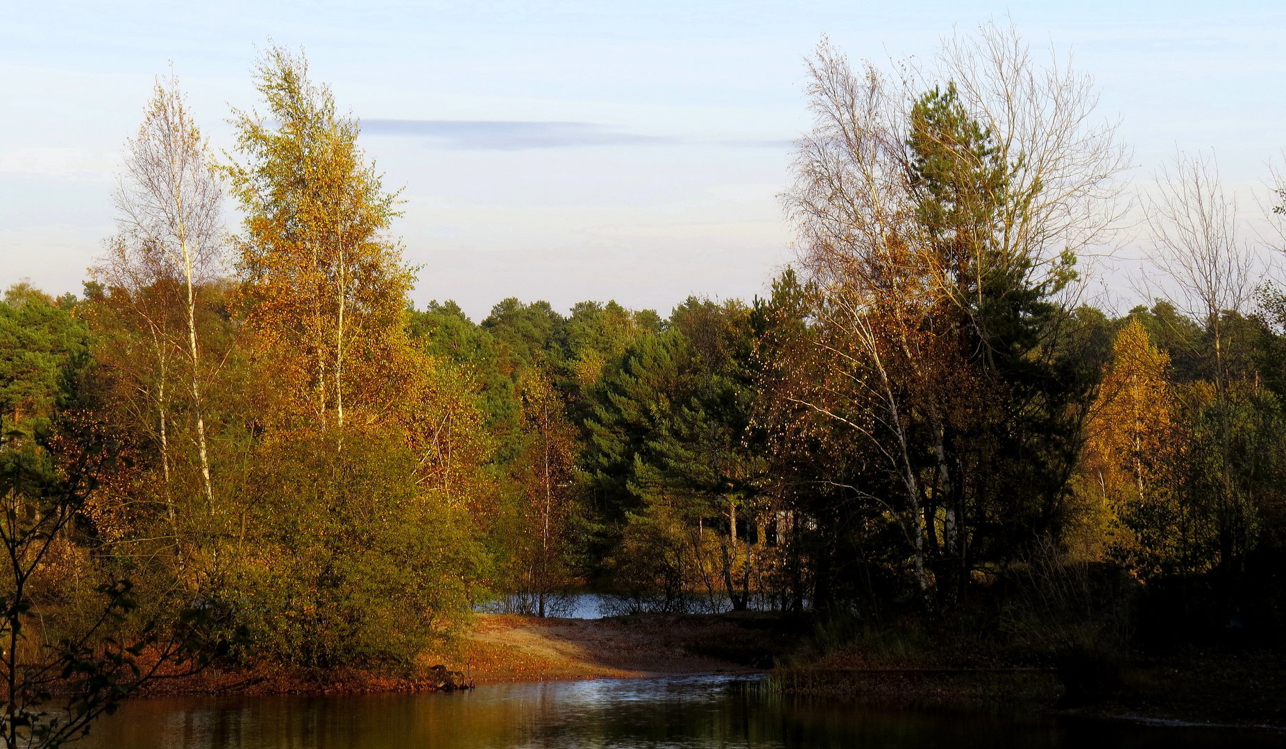 Herbst am See