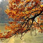 Herbst am See