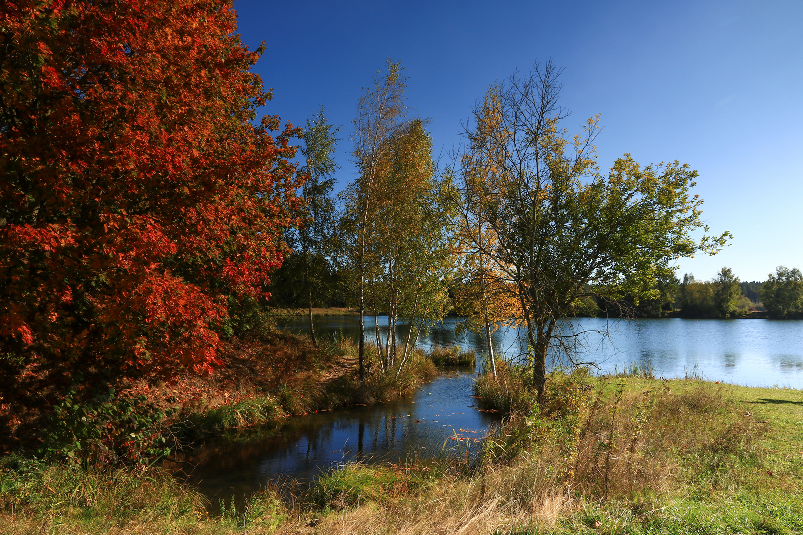 Herbst am See