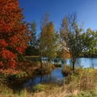 Herbst am See