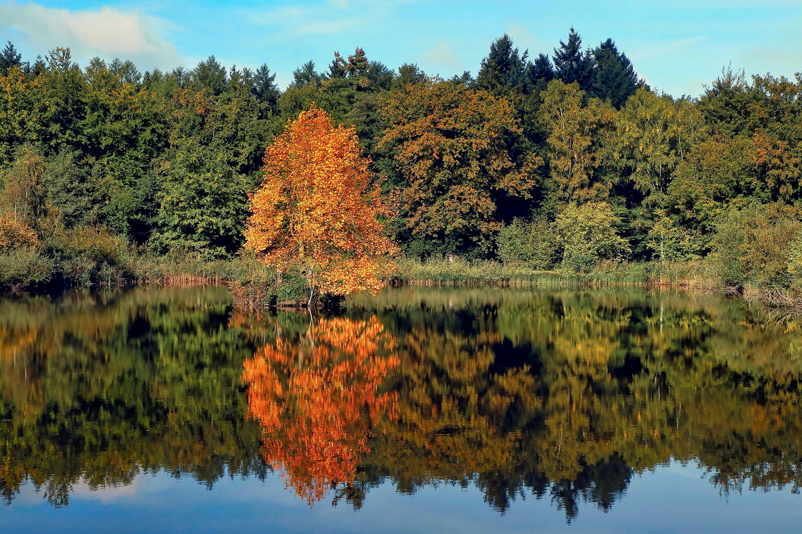 Herbst am See