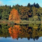 Herbst am See