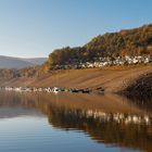 Herbst am See