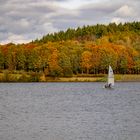 Herbst am See