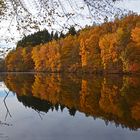 Herbst am See