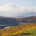 Herbst am See