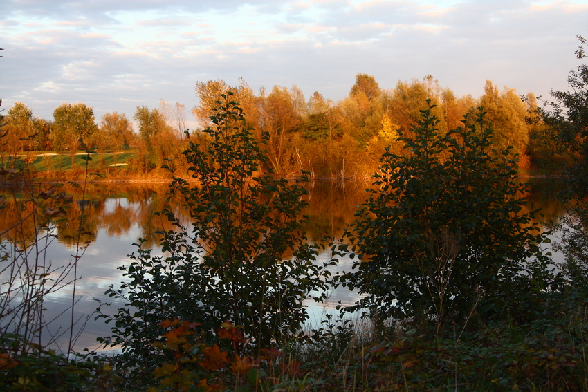 Herbst am See