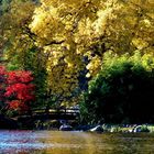 Herbst am See Gut Panker / Ostsee