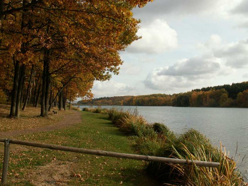 Herbst am See I