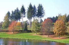 Herbst am See I