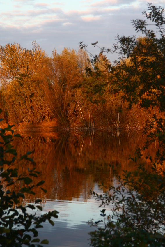 Herbst am See II