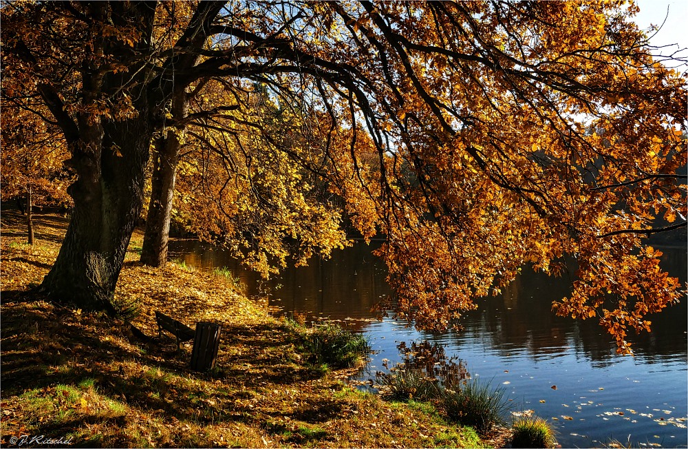 Herbst am See II