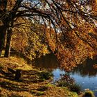 Herbst am See II