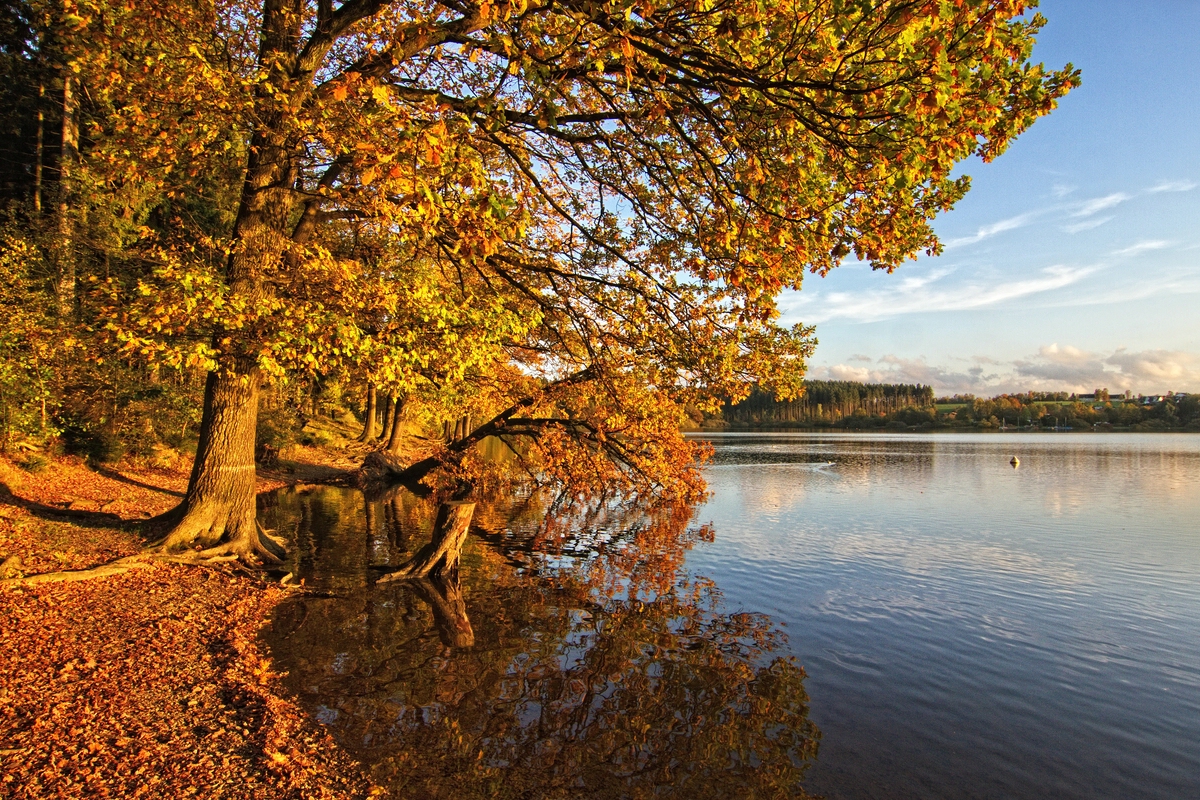 Herbst am See II