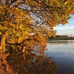 Herbst am See II