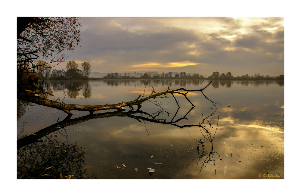 Herbst am See II