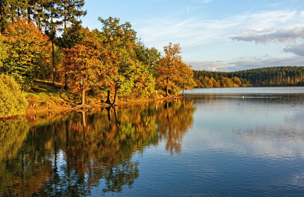 Herbst am See III