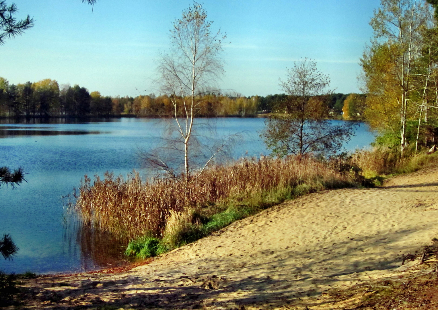 Herbst am See...2)